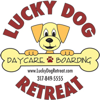 Lucky Dog Retreat