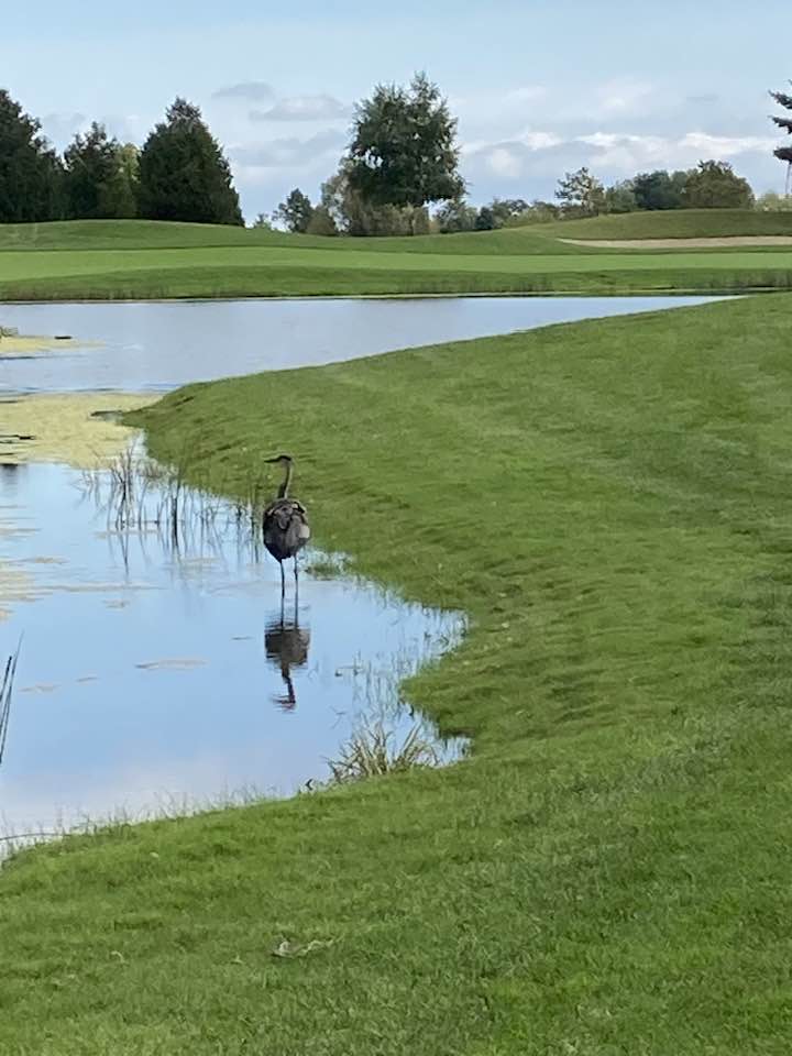 Catered a food truck after golf