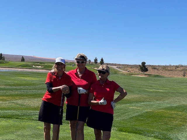 Virtual Scramble - Chicks with Sticks