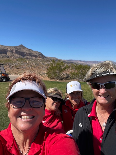 Virtual Scramble - Chicks with Sticks