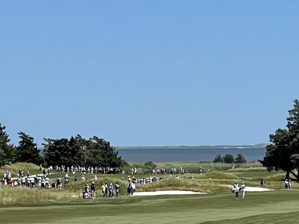 Bay Course View