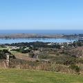 IMG_3017 IMG_3017