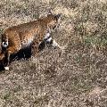 IMG_4360 IMG_4360