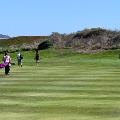 IMG_4365 IMG_4365