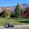 IMG_5255 IMG_5255