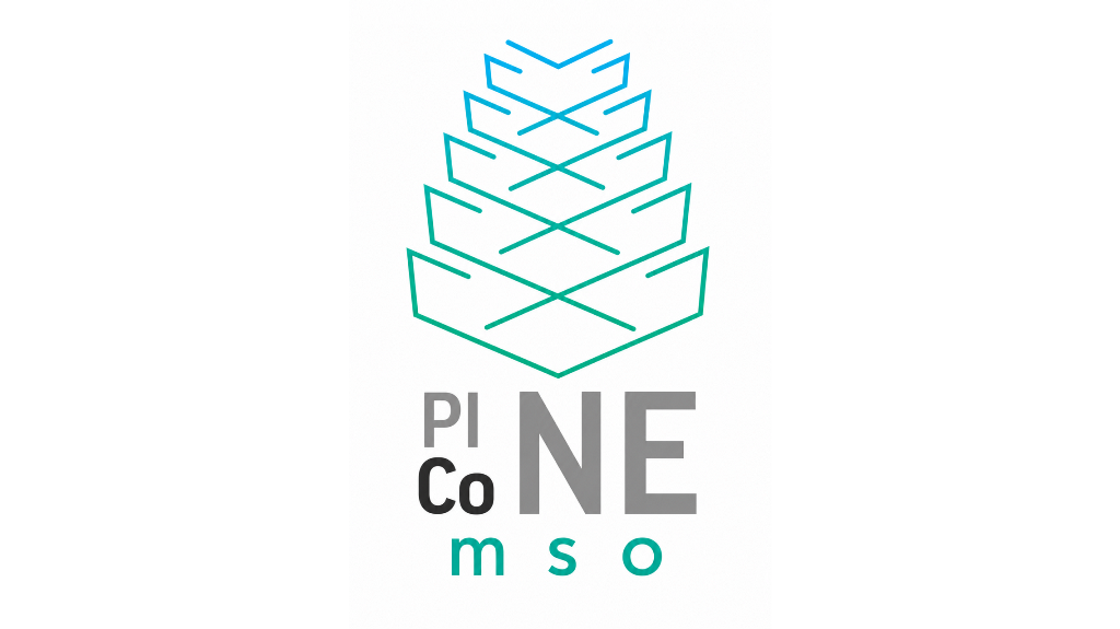 Pinecone MSO