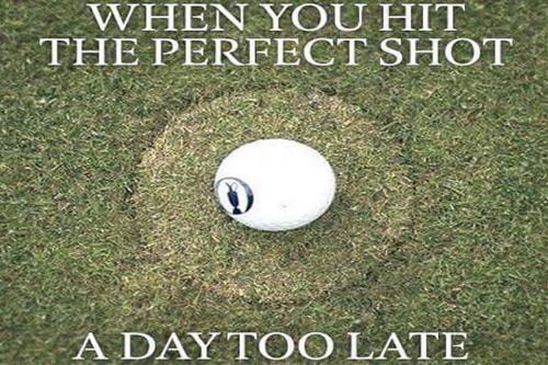 perfect shot perfect shot