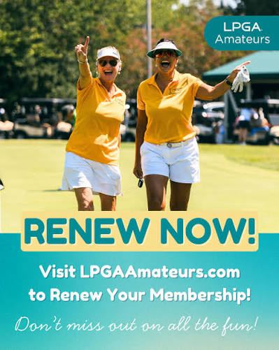 Renew Now